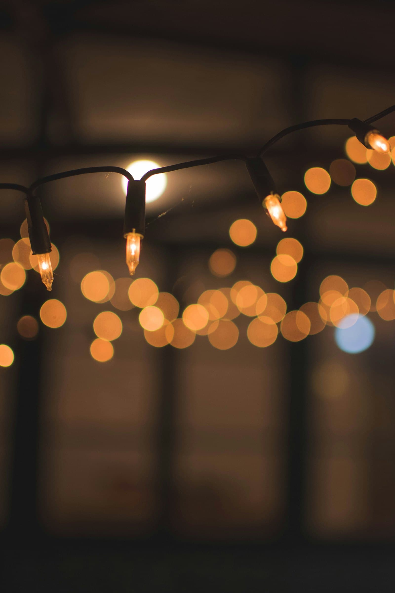 Warm string lights suspended above an event space